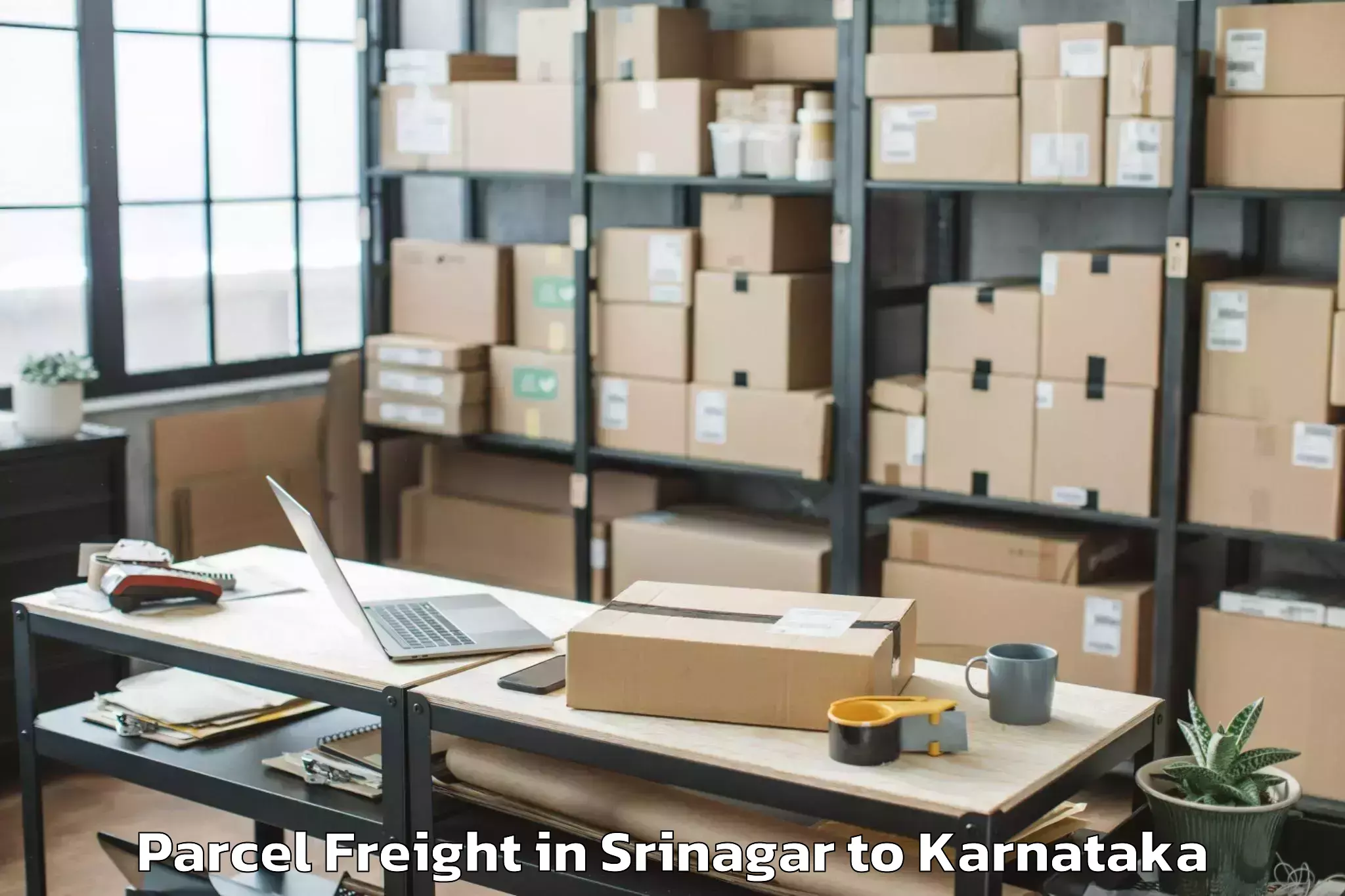 Top Srinagar to Chikmagalur Parcel Freight Available